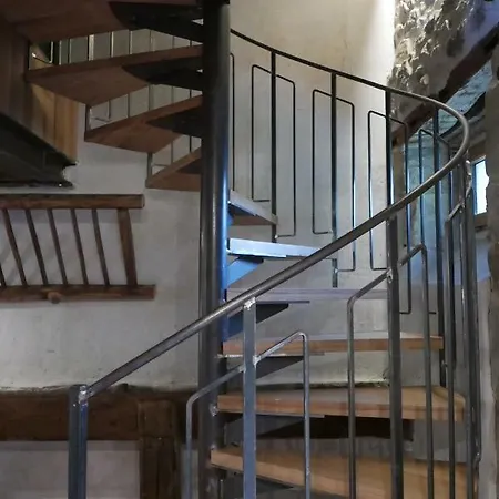 Les Insolites De Coco