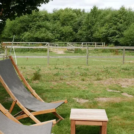 Les Insolites De Coco