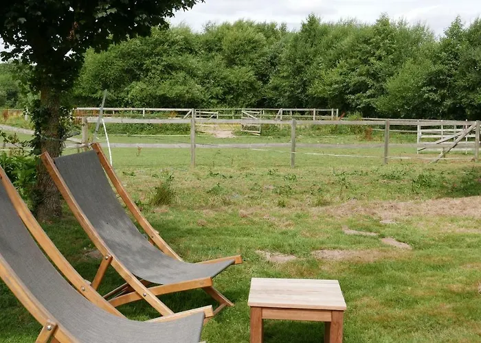 Les Insolites De Coco